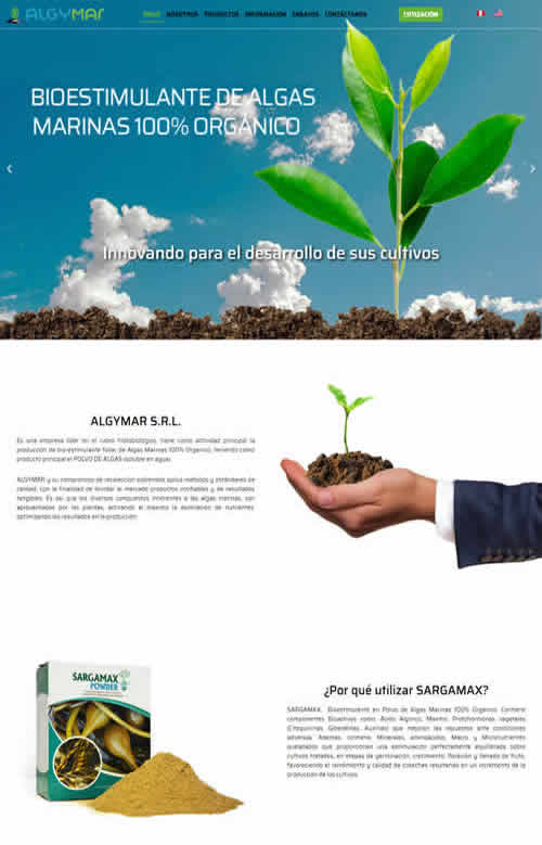 diseño-web-peru
