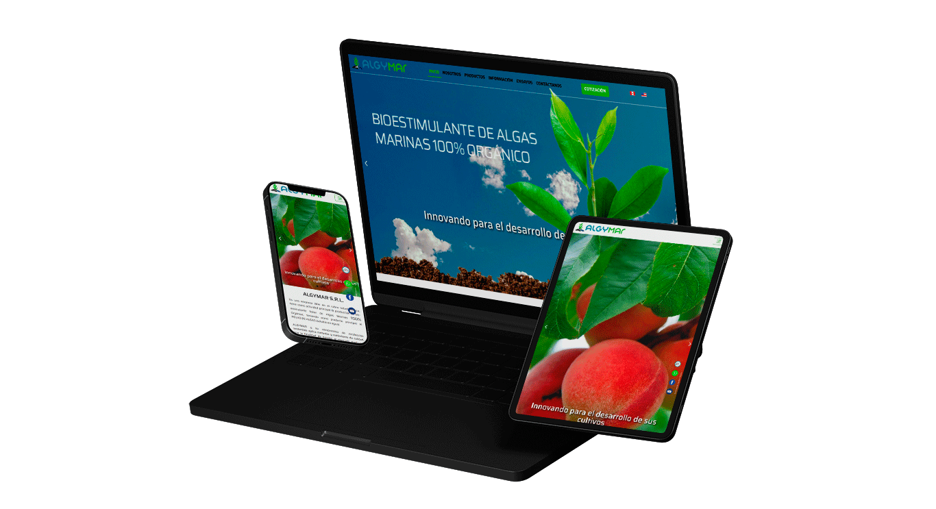 Diseño web peru